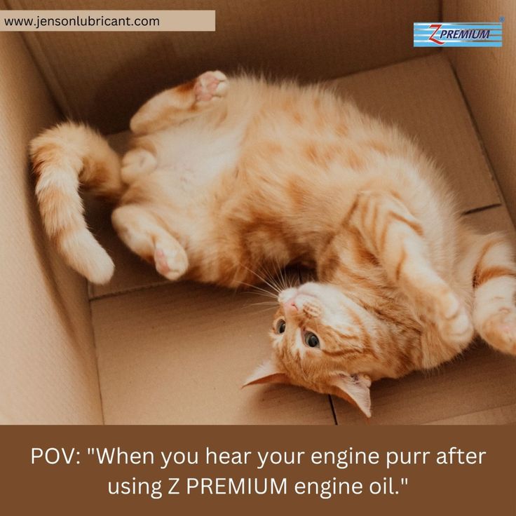 Z PREMIUM Synthetic Engine Oil 5W30