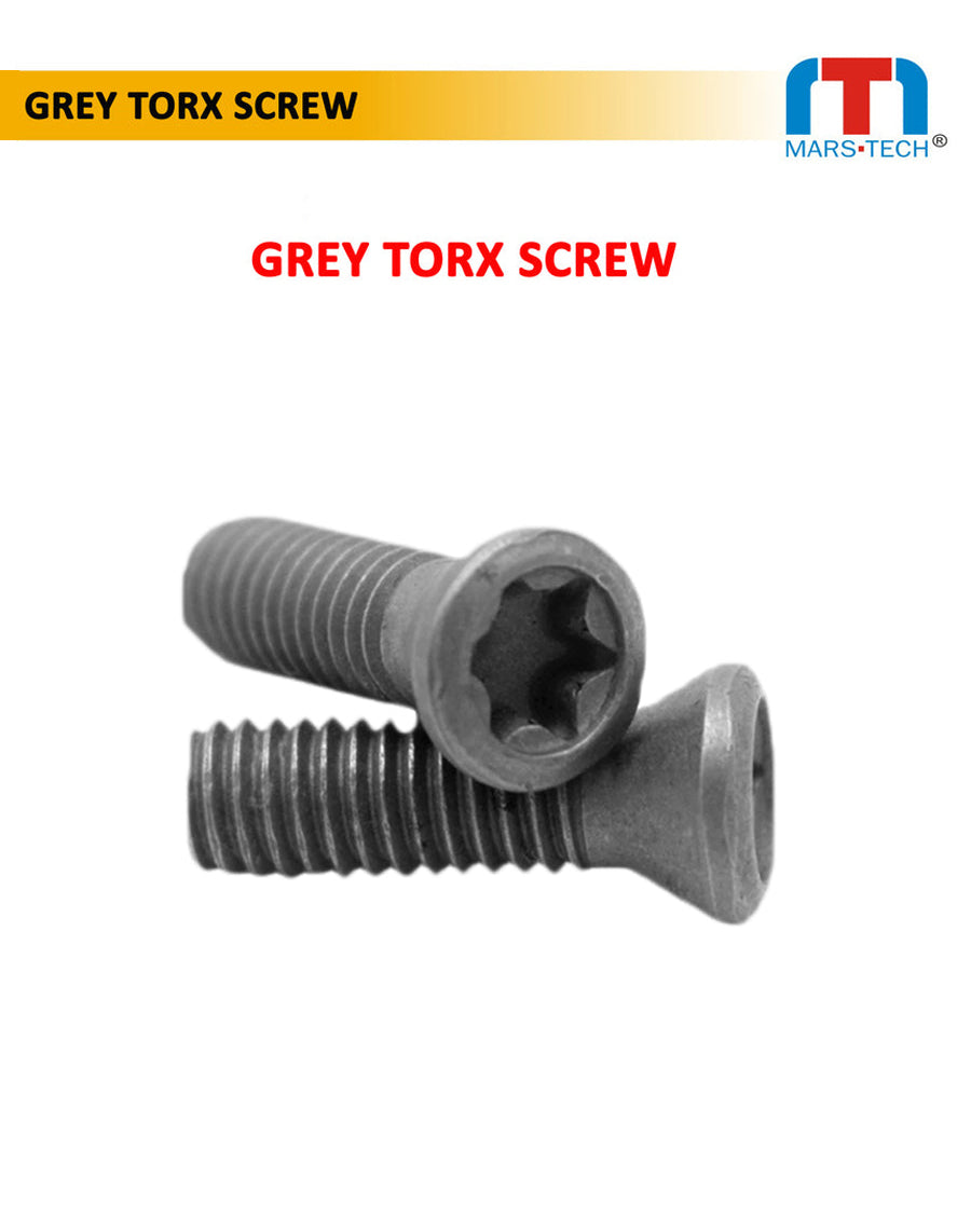 grey Torx screw