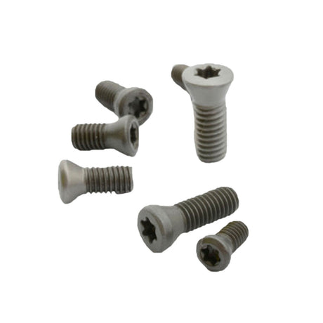 Torx T15 screw 3.5 mm