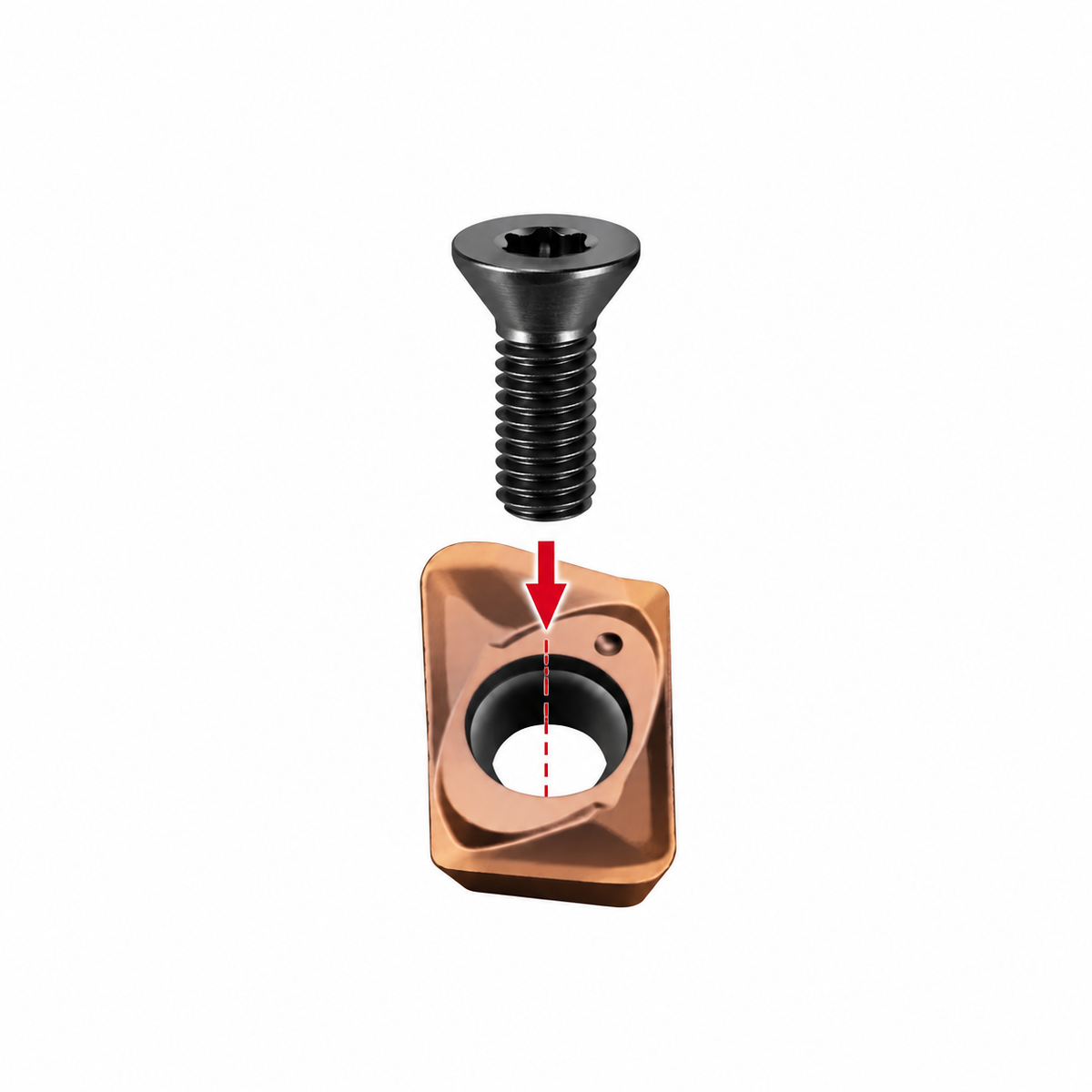 Torx Screw Securing Carbide Insert