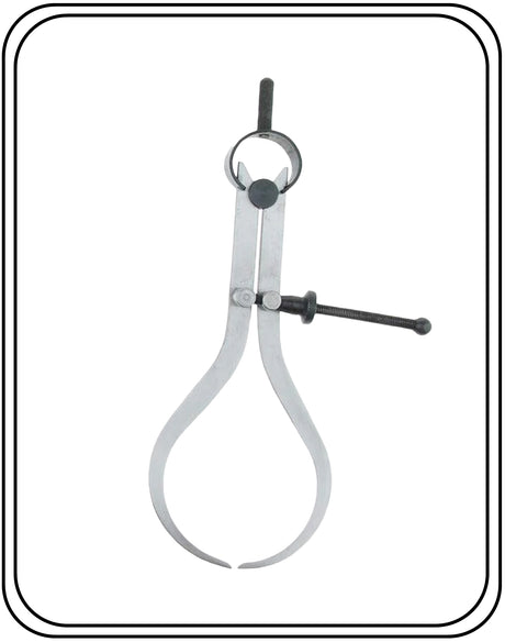 Caliper Spring Type