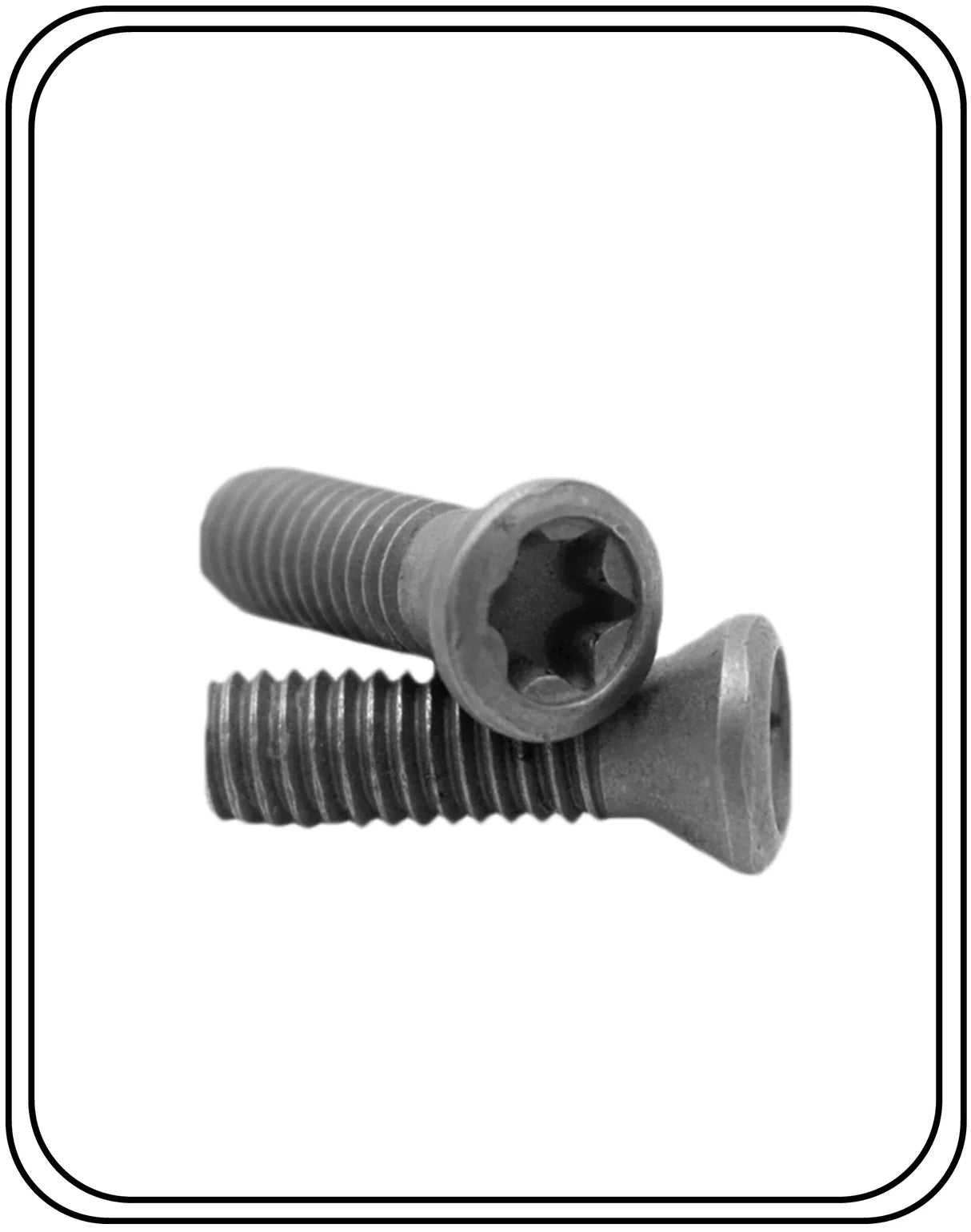 Two Torx head screws