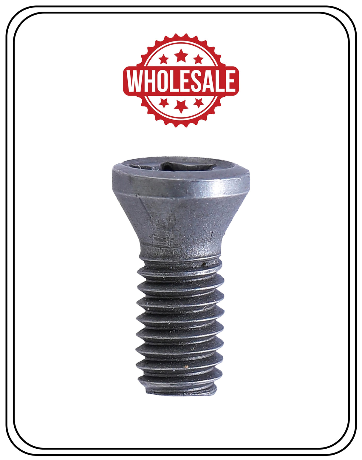 torx screw for carbide insert 4x10mm T15	