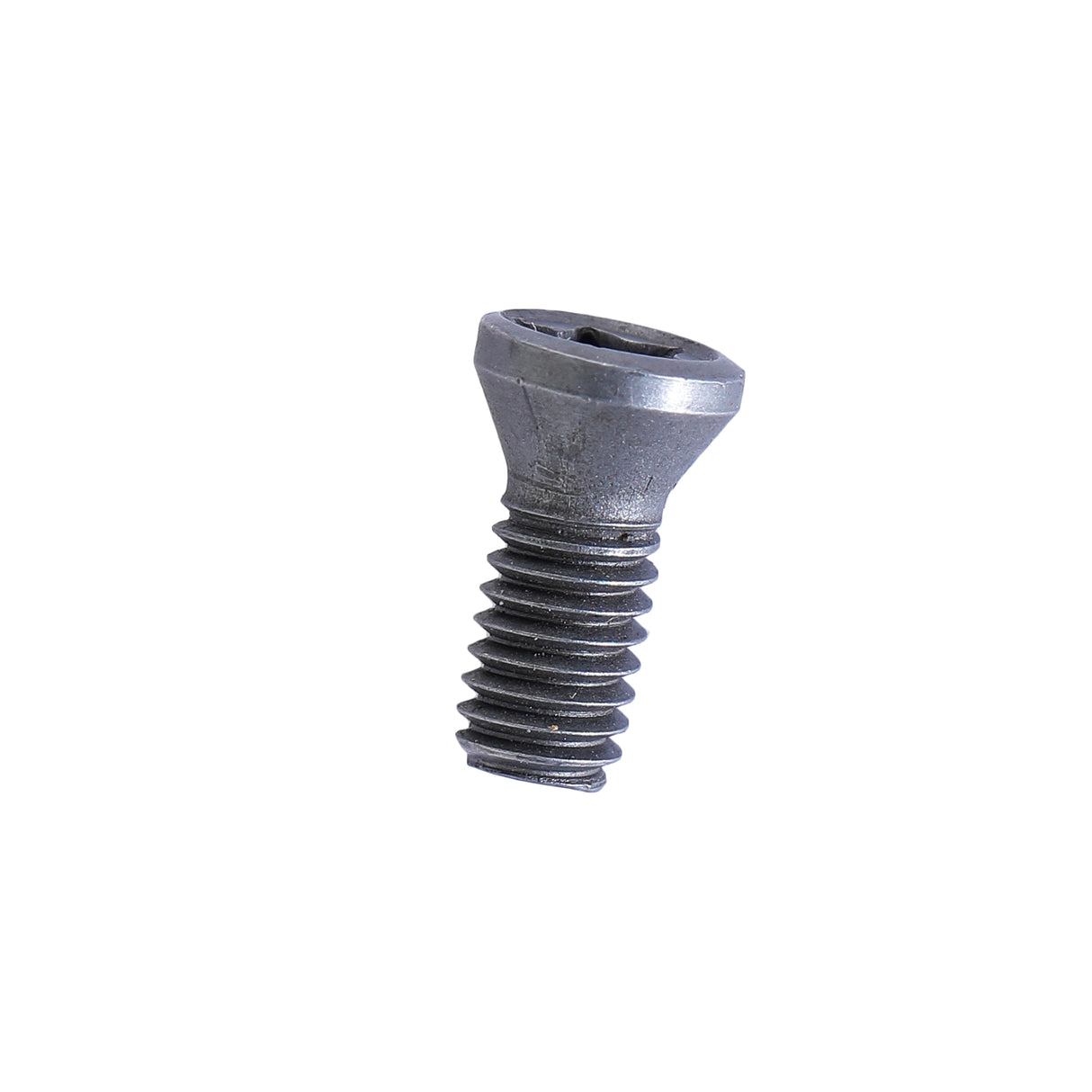 torx screw	