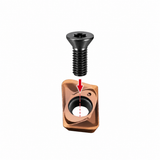 Torx Screw Securing Carbide Insert