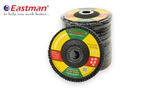 Flap Disc EFD