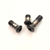 Three black Torx insert screws