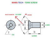 torx t25 