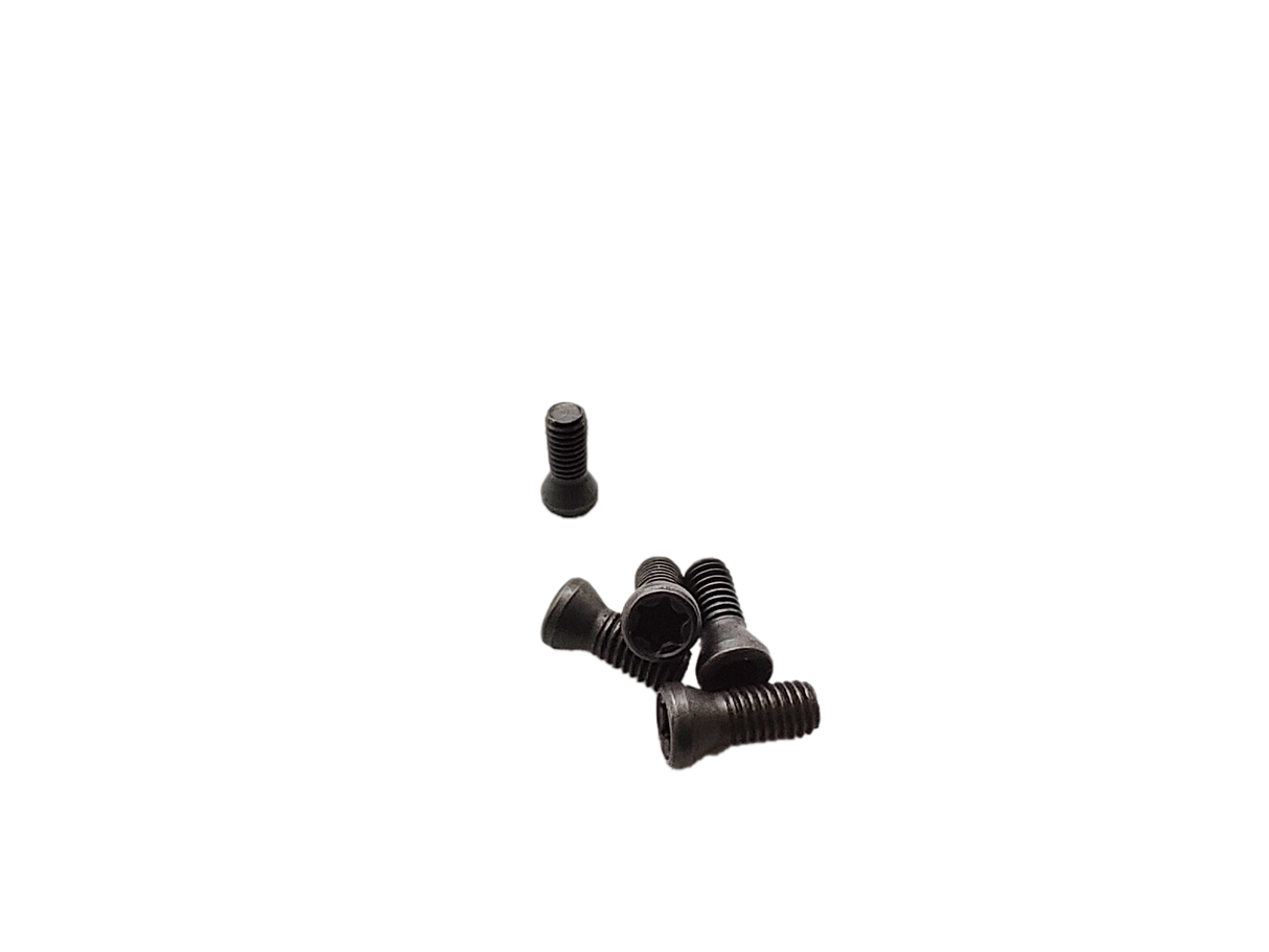 long 3mm screw