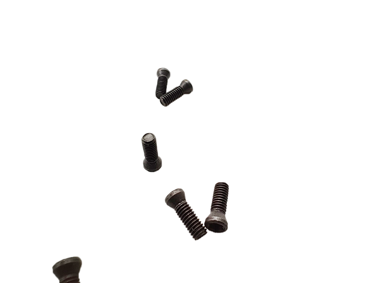 precision screw