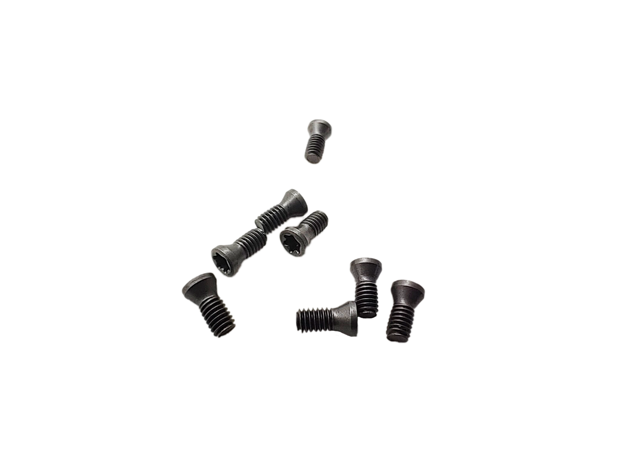 precision screw