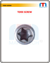 Torx Screw 