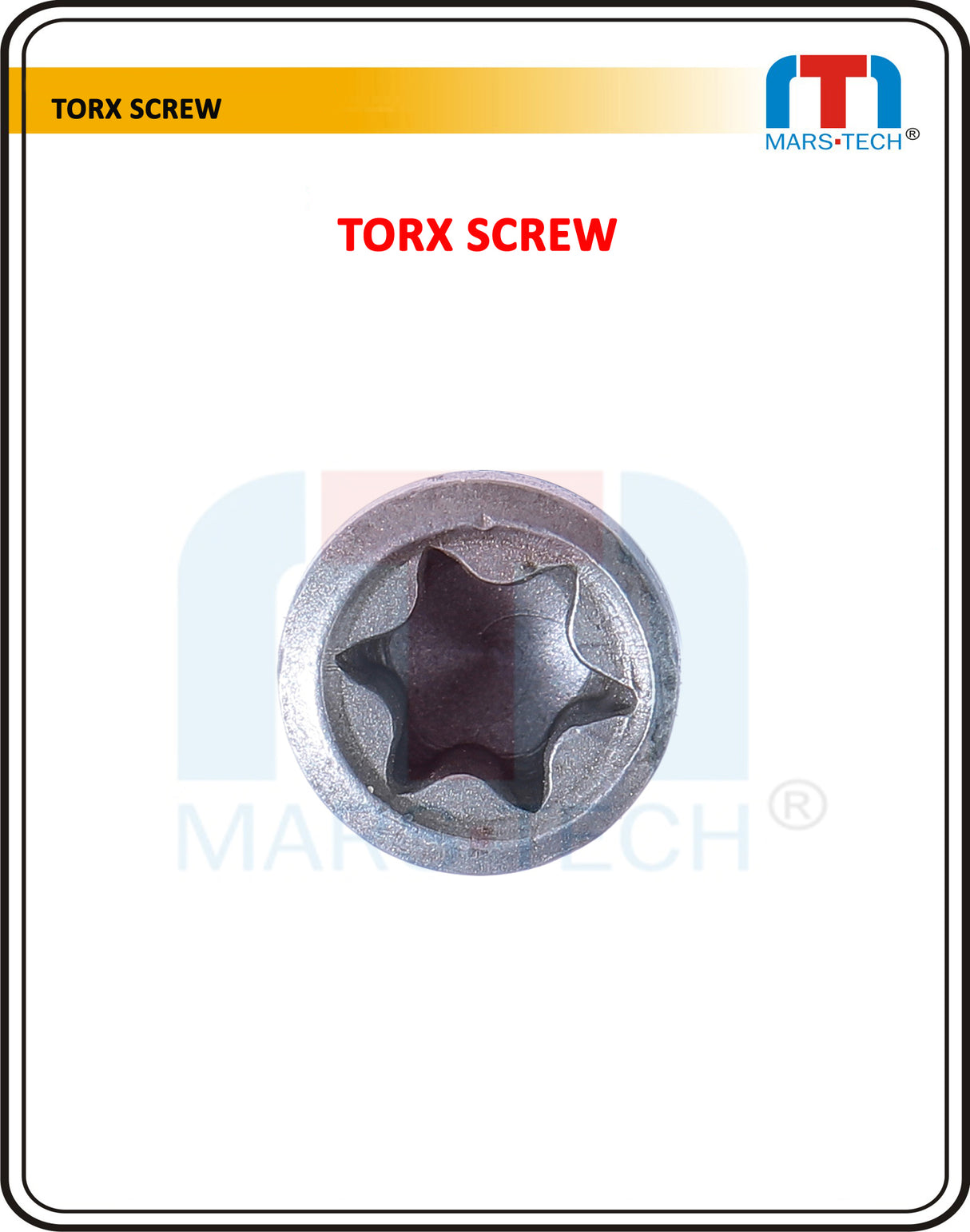 Torx Screw 